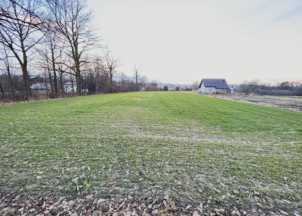 Działka Dankowice