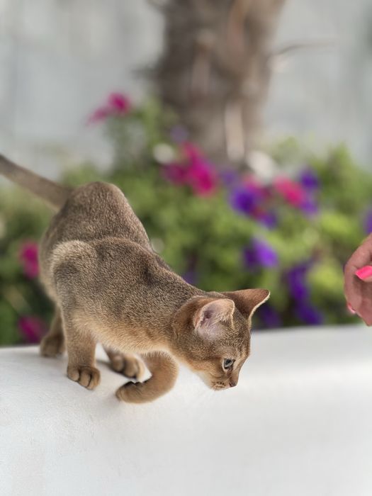 Найніжніший хлопчик чекає на улюблену родину