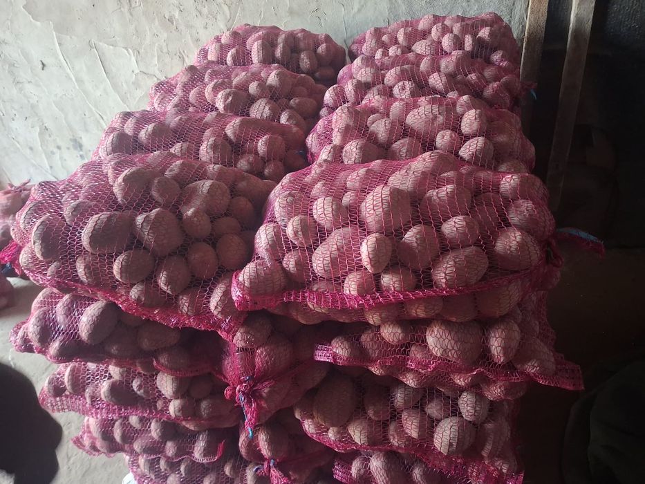 Ziemniaki Bella Rosa