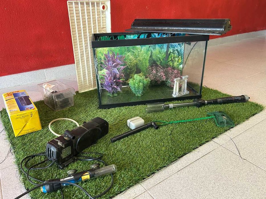 Set de Aquariofilia com Aquário e Acessórios (50 cm x 30 cm x 23 cm)