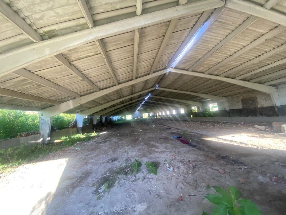 Продається ферма