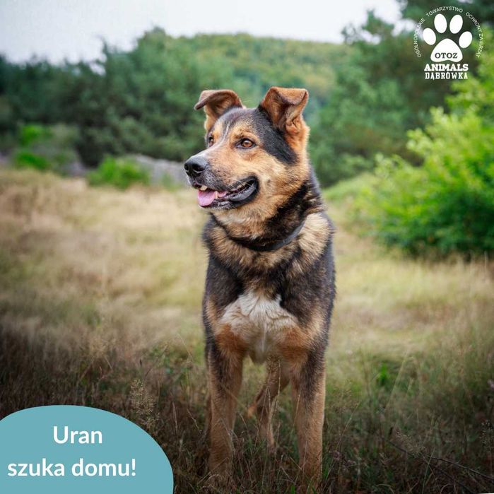 Uran szuka domu na stałe