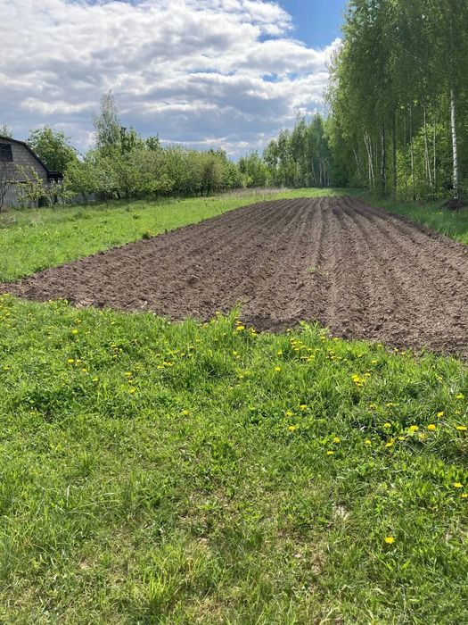 Фото ділянки