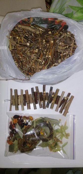 Домашним питомцам