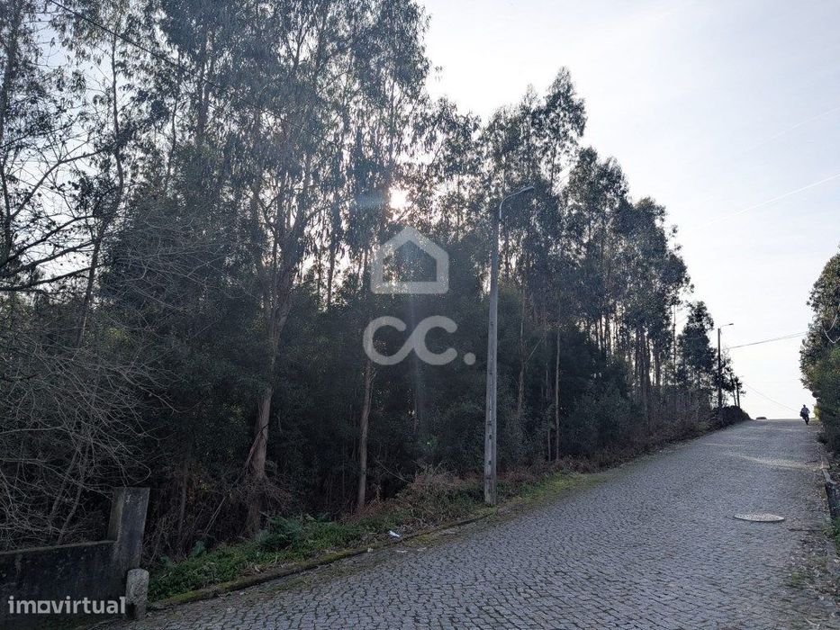 Terreno rústico, para venda com 10.290 m2 em Lousado, Vila Nova de ...