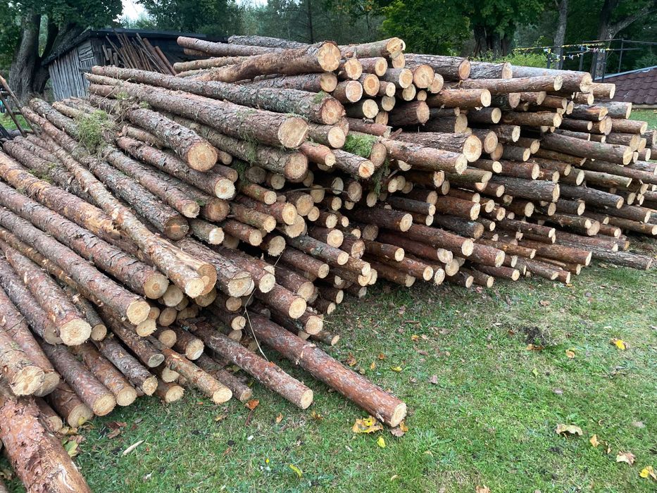 Nowa Świeża seria  Stempli Budowlanych 3m