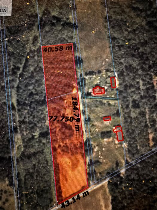 Działka budowlana 7800m2. Puszcza Kozienicka