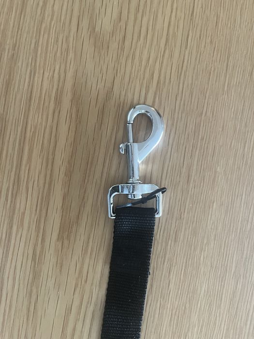 Cinto de seguranca  para cão