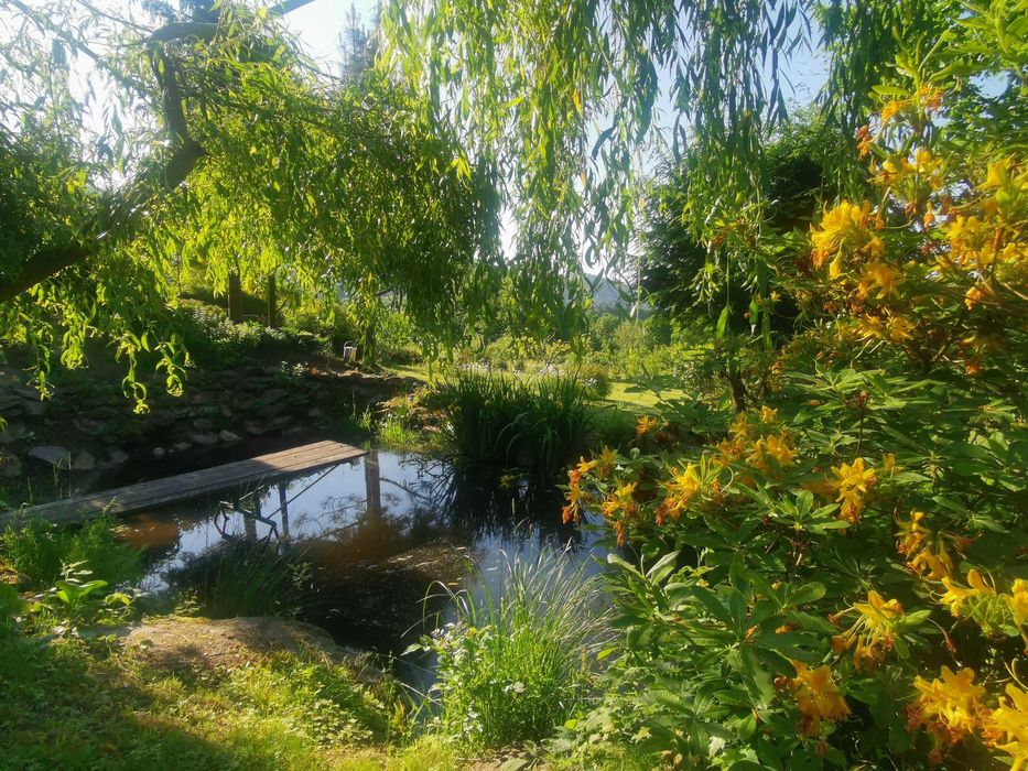 Dom w górach wyłączność Święta Sudety Góry Sowie  widok noclegi