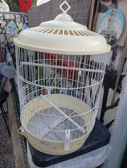 Gaiola para Aves Canarios/Piriquitos