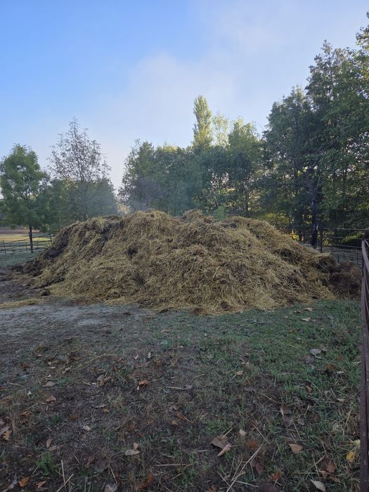 Vende-se estrume de ovelha