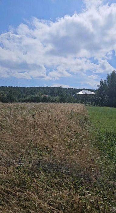 Земельні ділянки 1.05га/с.Стопчатів/Косівський район