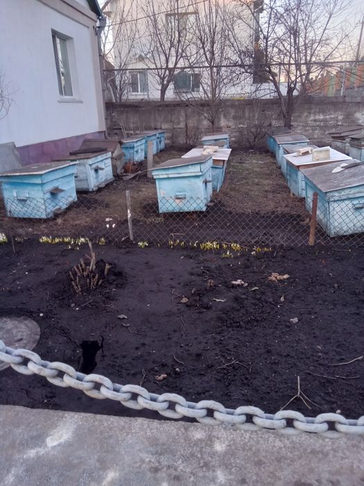 Товари для животних