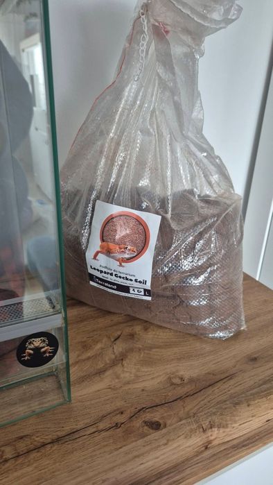 Gotowa wyprawka dla gekona lamparciego