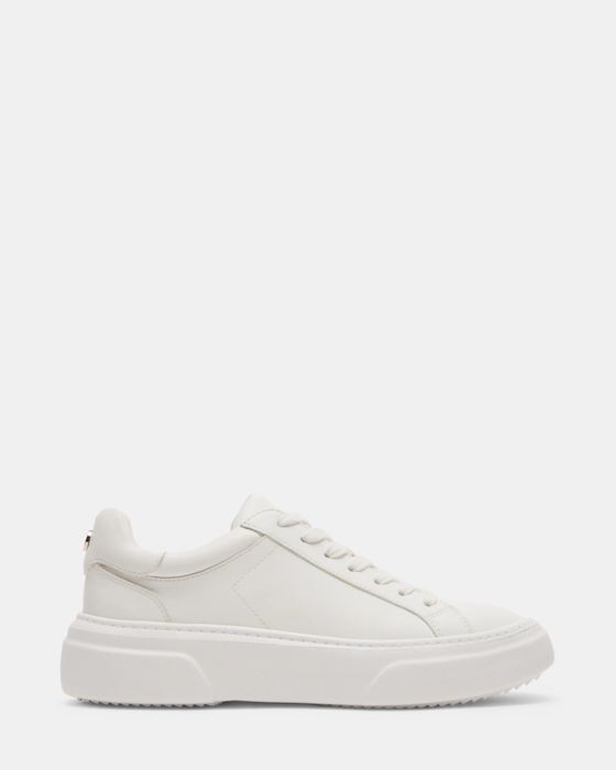 Кросівки Steve Madden жіночі