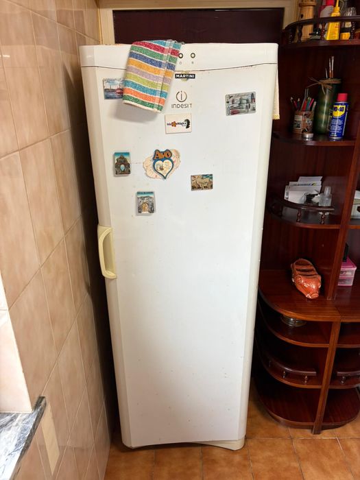 Arca e frigorífico com arca