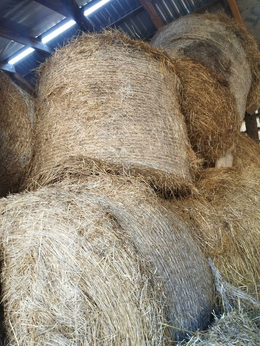 Sprzedam bale siana