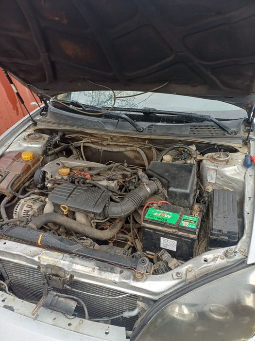 Продам чері в задовільному стані