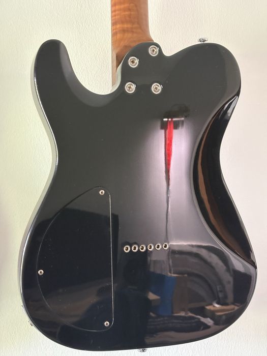 Harley Benton Fusion-T HH HT Roasted