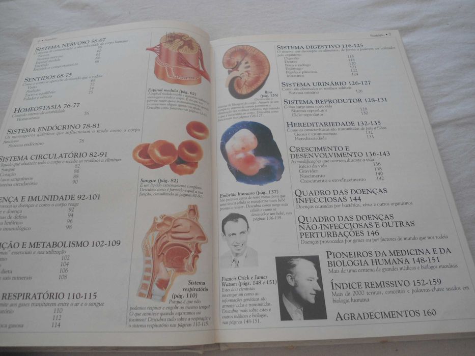 Dicionário Escolar do Corpo Humano por David Burnie