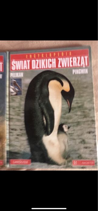 Zestaw Swiat dzikich zwierzat wysylka 1 zl