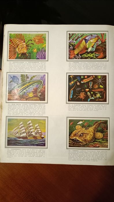 Cadernetas Panorama Zoológico completa