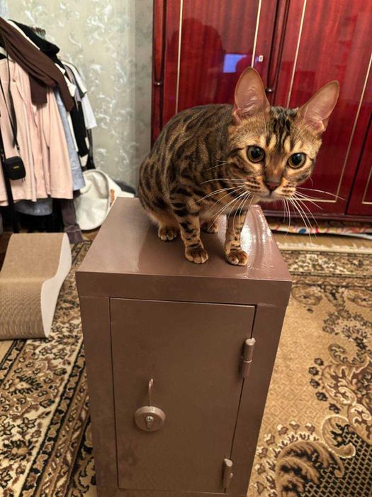 Сейф металлический