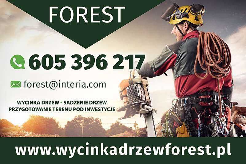 Wycinka Drzew ,,FOREST"