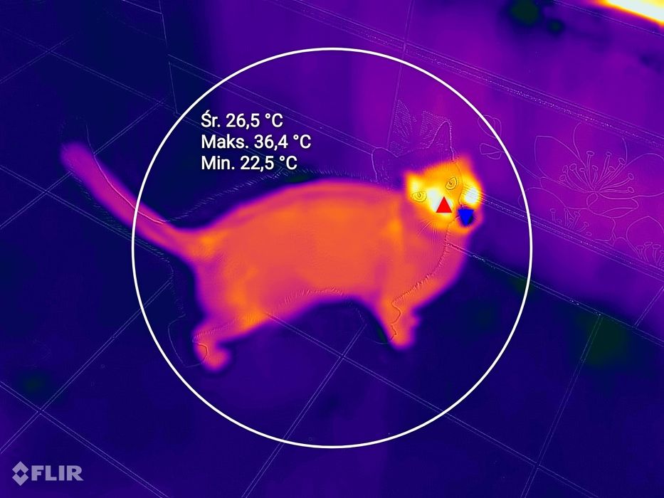 Cat S62 pro - termowizja