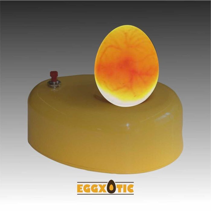 Ovoscópio Super LED para verificação dos Ovos