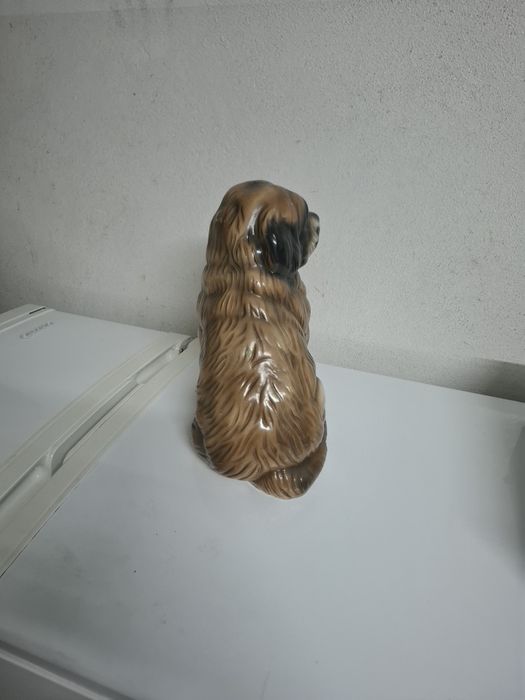 Cão para exposição a um preço acessível