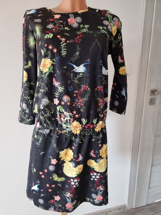 Sukienka firmy House