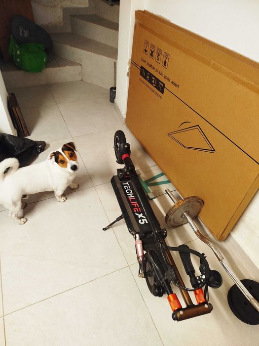 Hulajnoga Elektryczna TechLife X5