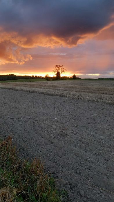 Ziemia 5,48 za 210