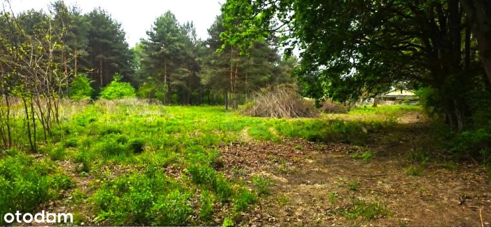 Piękna działka pod lasem Szczęsne - Widok 5