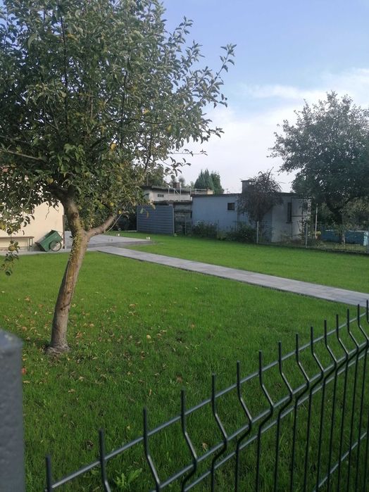 usługi zakładanie trawnika glebogryzarka separacyjna koszenie