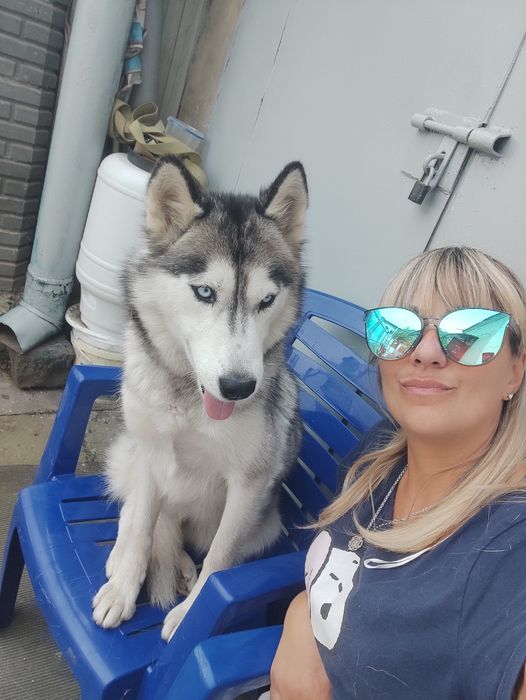 Перетримка  тварин.Любої породи