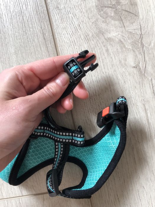 Шлея BronzeDog Mesh для собак дрібних порід, сітчастий нейлон, ментоловий, 28-33 см