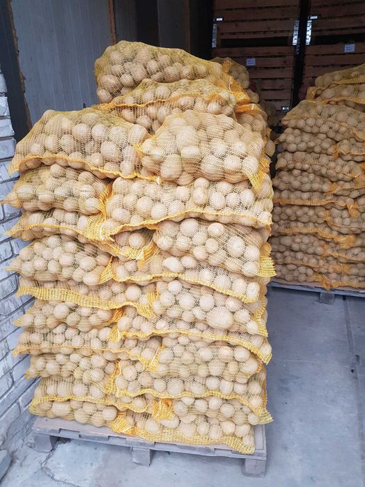 ziemniaki vineta 10kg transport