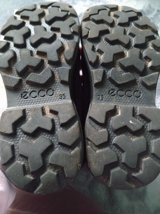 Сапоги чоботи ecco