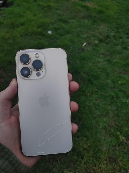 iPhone 13 Pro робочий
