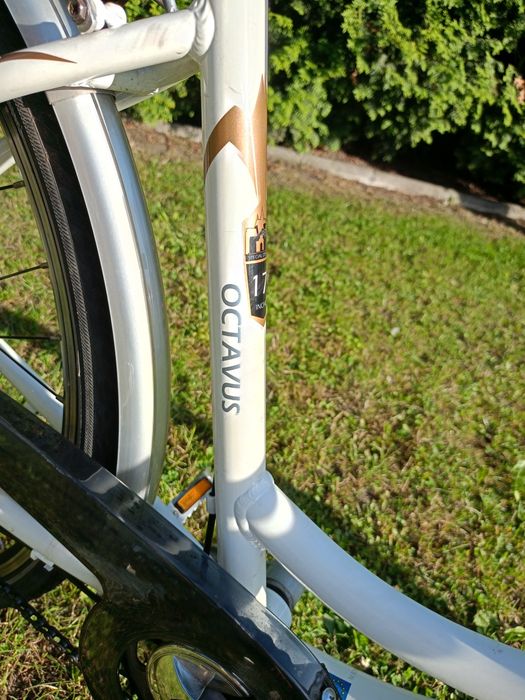 Rower damski Leader Fox Octavus