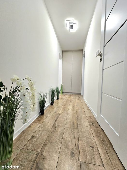 3 pokoje, blisko centrum, po remoncie, bezpośrednio