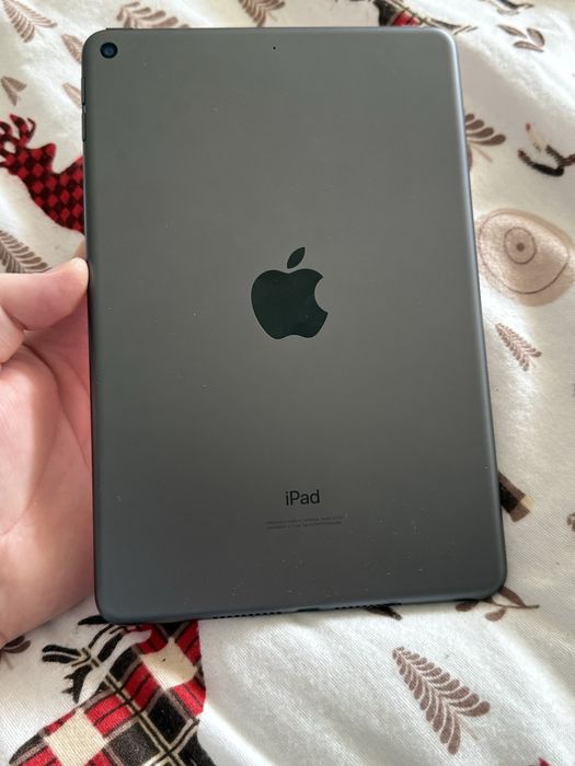 IPad Mini 5 256Gb