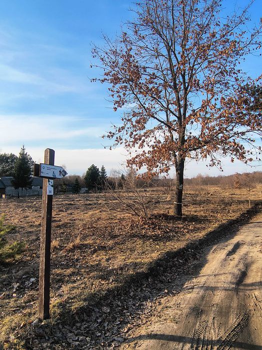 Sprzedam działkę budowlaną przy Poleskim Parku Narodowym Stare Załucze