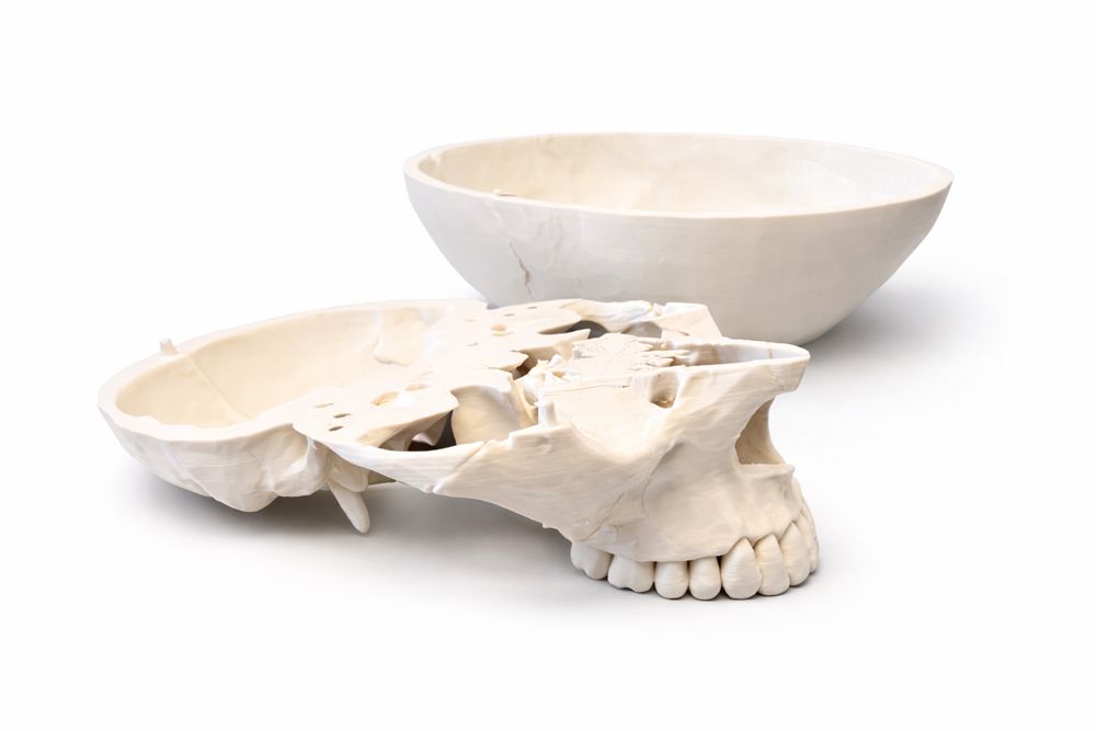 Anatomia model czaszki do nauki z druku 3D