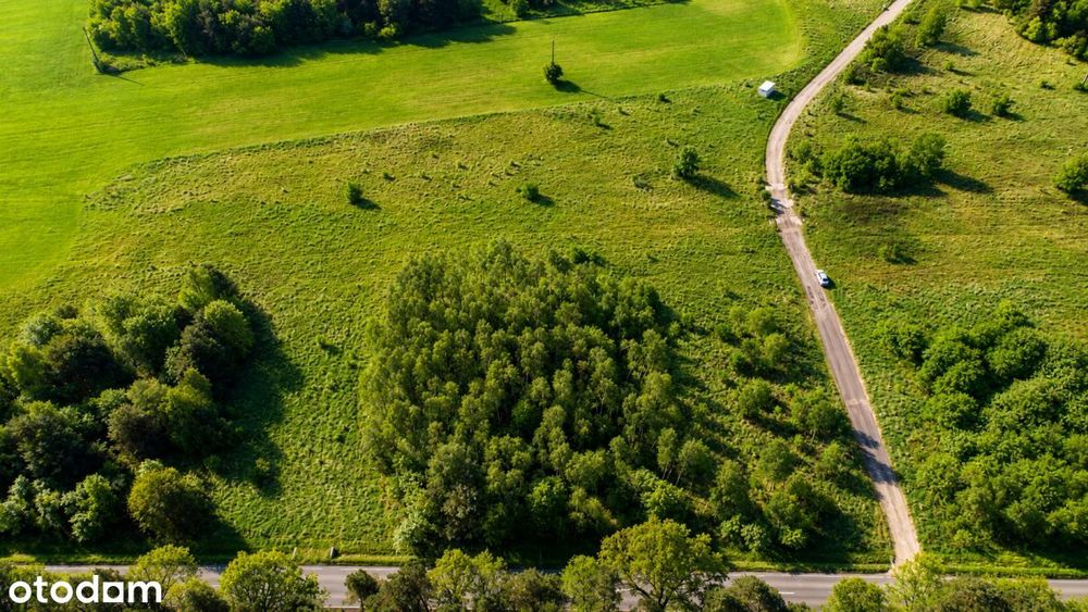 Działka budowlana 2660 m² przy lesie | Mpzp | Med – pohled 2