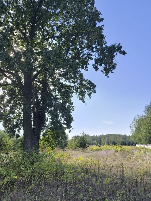 Działka budowlana z MPZP w miejscowości Krzyżówka k/Radziejowic