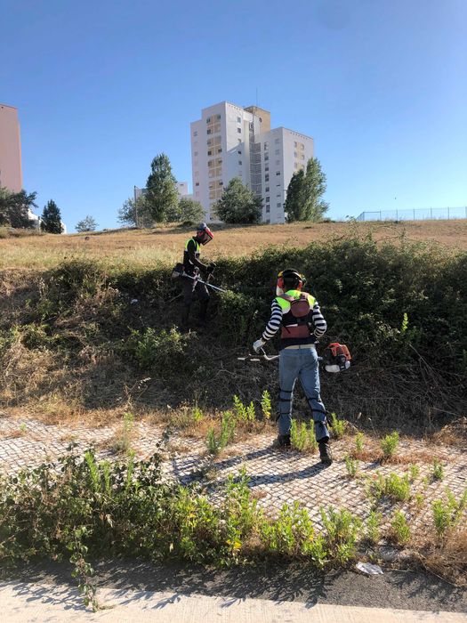 Limpeza de terrenos/desmatação LISBOA e arredores
