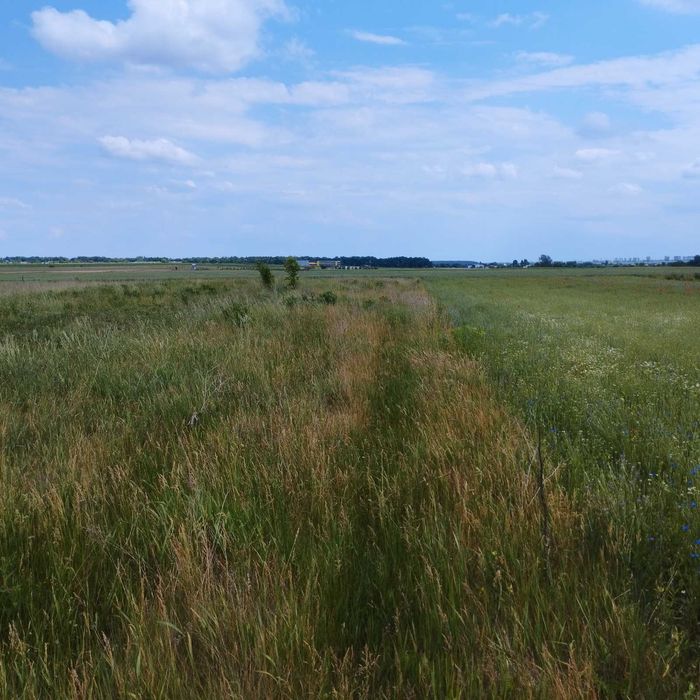 Земельна ділянка  під будівництво